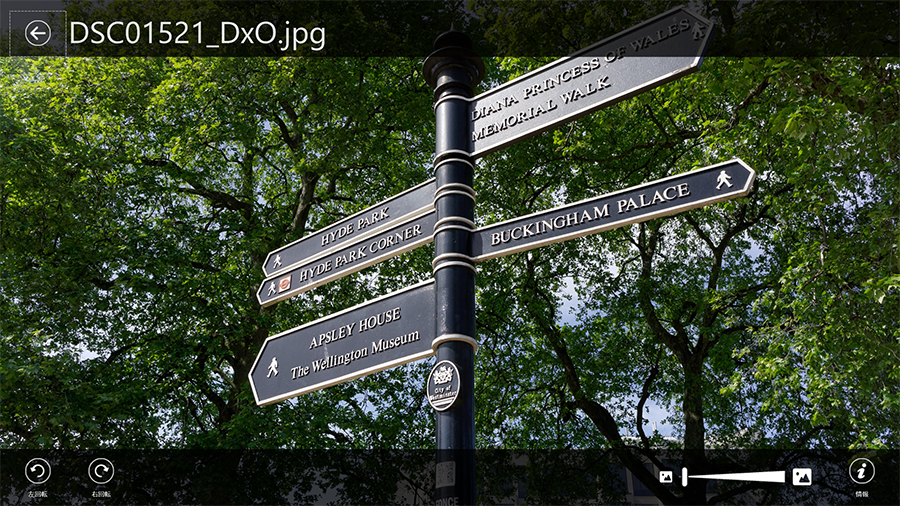 もちろん1枚ずつじっくり鑑賞することも可能