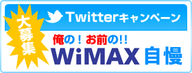 WiMAX ���蕔��