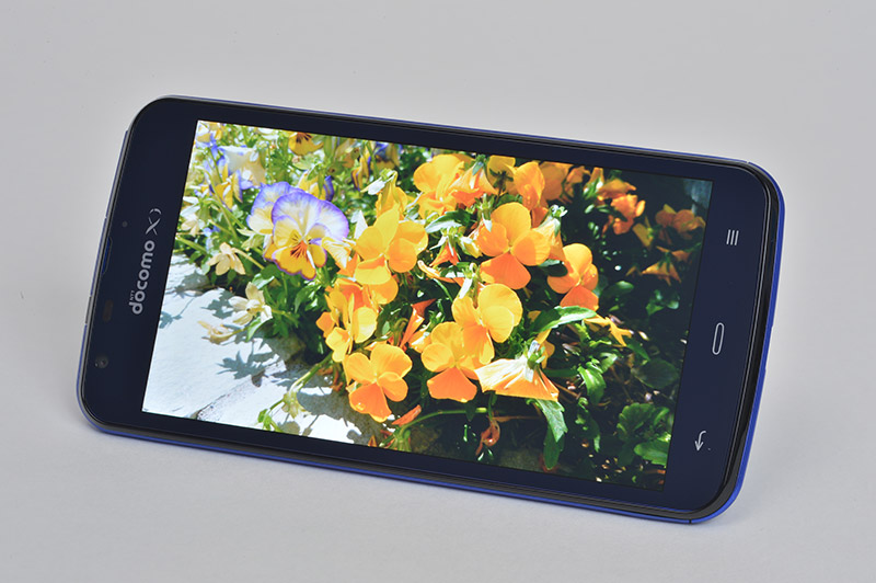 写真をクリックすると画面を閉じます。