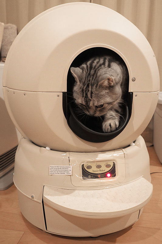 スタパ齋藤の猫ラボVol.1 猫用全自動トイレ「キャットロボット」を試してみた