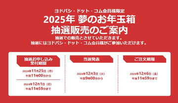ヨドバシの福袋「2025年 夢のお年玉箱」11月25日11時より抽選受付を