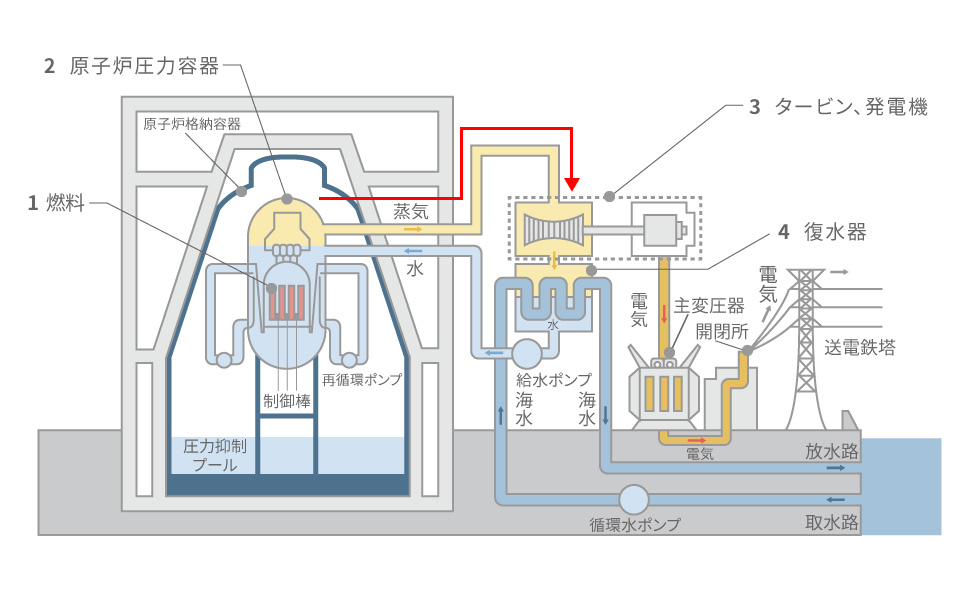 東京電力より。原子力発電のしくみ。左の原子炉でお湯を沸かし、黄色のパイプを伝わる高圧蒸気でタービンを回す。蒸気は海水で冷やされ、再び原子炉を循環する