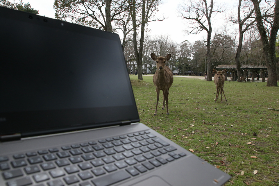 はじめは互いにけん制しあうシカ小隊の偵察隊と我が軍