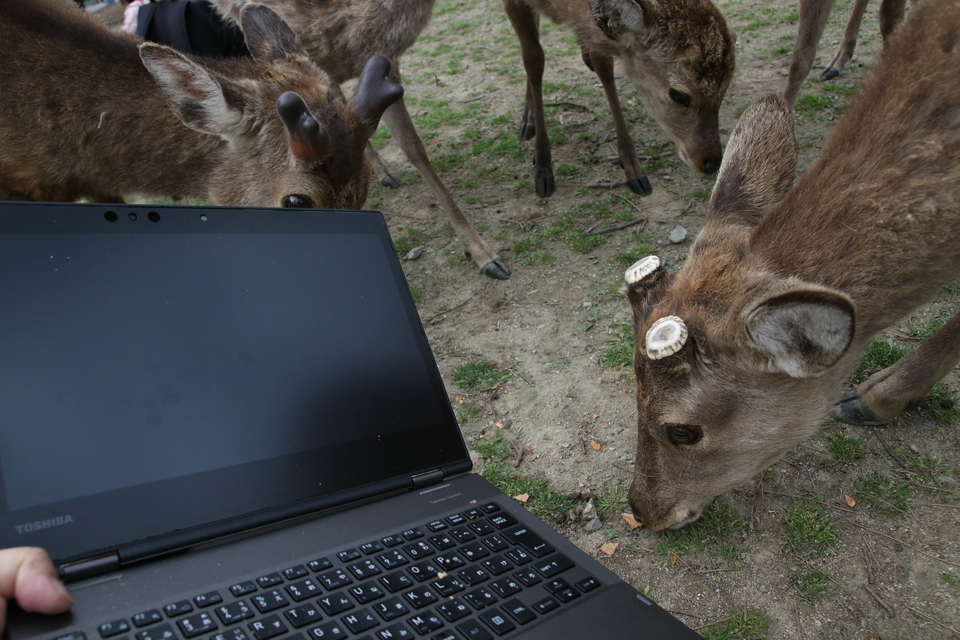 偵察隊が小隊を集めて我が軍を包囲。接近戦となる