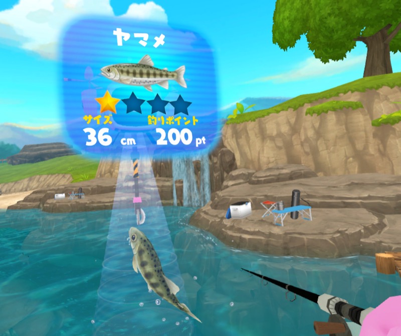 バトルに勝利すると魚をゲット！