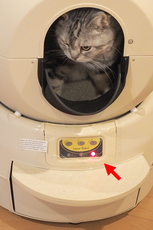 猫は「キャットロボット」の入口下のステップを踏んで中に入ります。ここを踏むと「キャットロボット」が「猫が入ったことを感知」し、入口下の赤ランプが点灯します。この赤ランプが点灯した7分後に、サイクル動作(排泄物を除去する自動運転)が行われます