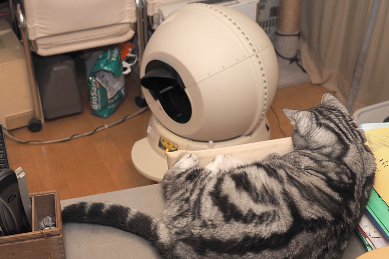 「キャットロボット」のサイクル動作の音は、猫を驚かせない程度静かです