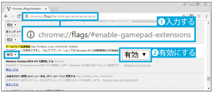 「Gamepad Extensions」フラグ
