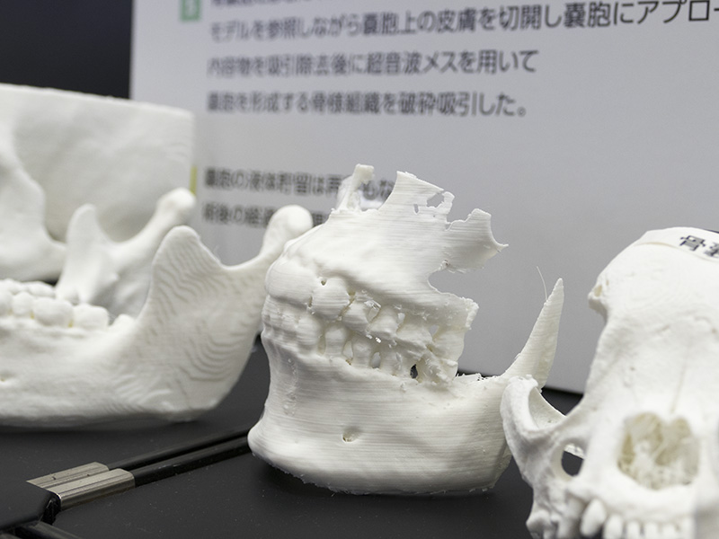 フュージョンテクノロジーは、3Dプリンタ<a href="http://www.l-devo.com/aboutus" class="n" target="_blank">「エルディーボ」</a>の作品例を多数展示。こちらは獣医療向けの骨モデル造形事例