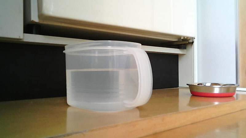 仕事場にある猫の水飲み容器をチェック。半透明の容器なら水の残量をチェックできます