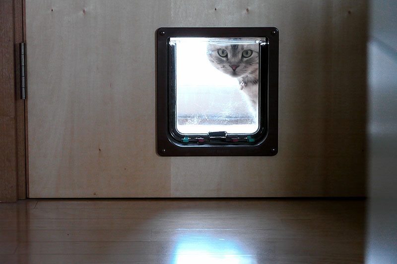 猫ドア越しに猫が室内を覗いている様子。なかなか愉快です。買うなら透明の猫ドアがいいですよ♪