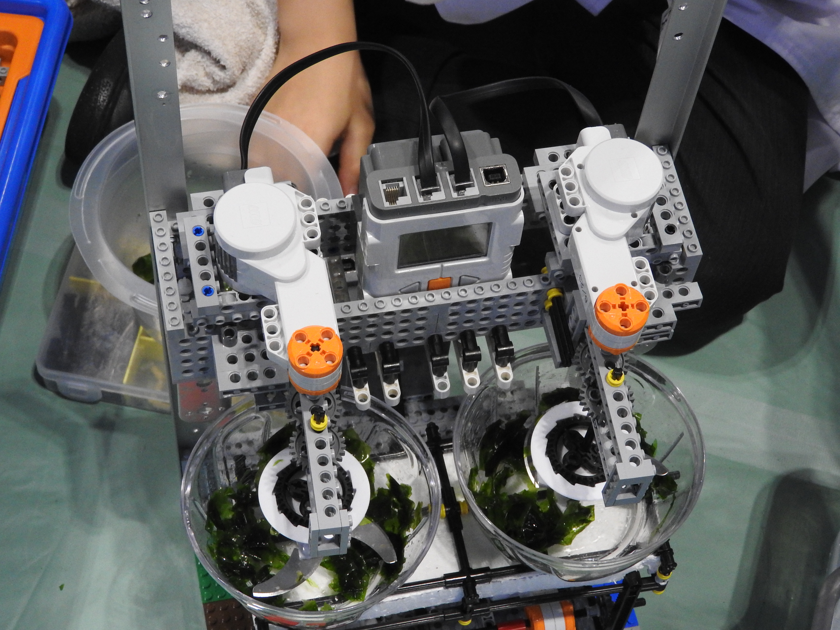 アオサを細かく切り刻む「截」