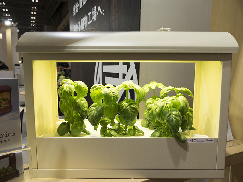 LED野菜栽培器「Akarina05」は、サラダ菜の種ならば1日16時間のLED照射と、週1～2回の養液を与えるだけで約40日で収穫できるそう。価格は1万4,904円（税込・送料別）