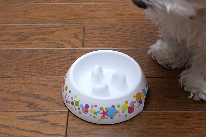 ドギーマンの「ゆっくりデコボコ食器」小型犬向けのSサイズ