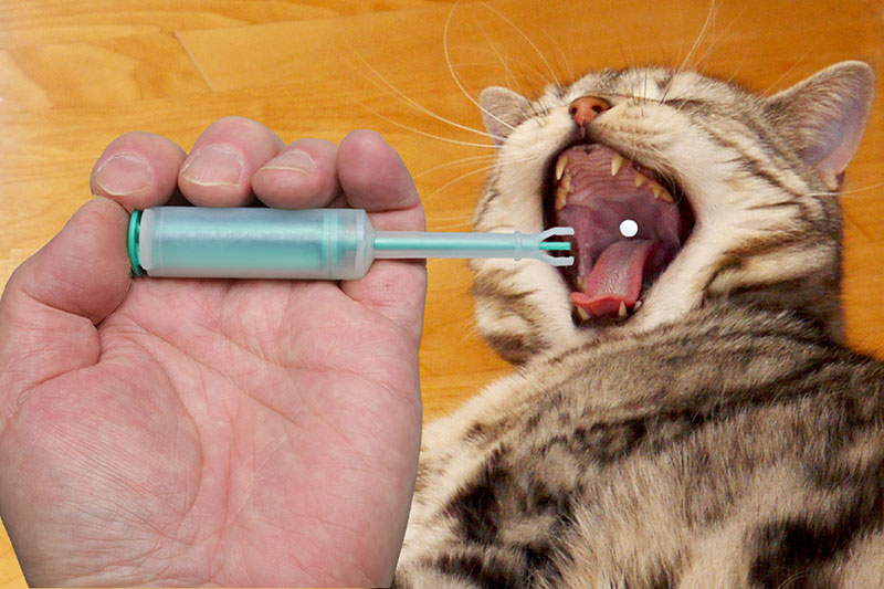 錠剤をホールドしたピルガンの先を、喉のやや手前に入れ、緑の部分を押します。すると錠剤が猫の喉近くに落ちるという具合。直後、猫が口を開かないように押さえ、錠剤を嚥下させます。後述のシリンジを使い、猫の口に錠剤を入れた直後に水を飲ませると、うまく錠剤を飲み込んでくれることが多いようです