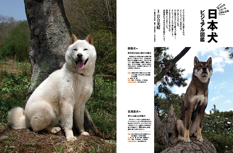 岩合さんの写真で案内する「日本犬ビジュアル図鑑」