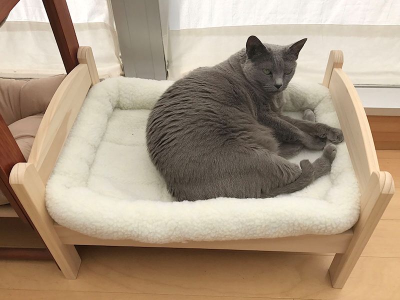 これが猫用ベッドとして人気のあるIKEAの人形用ベッドです。拙宅猫「うか」専用ベッドのようになっていました