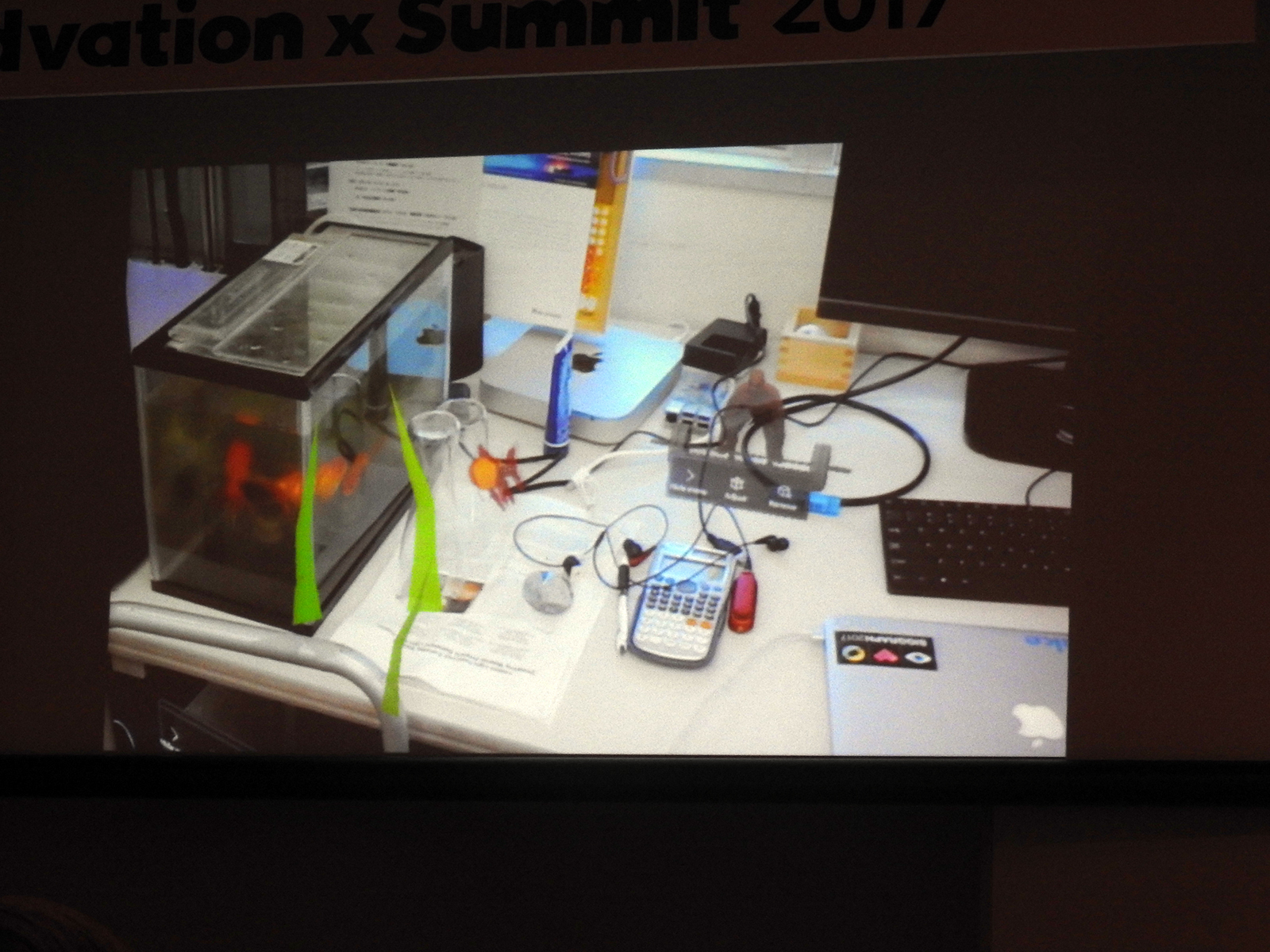 HoloLensをかけて見た落合氏の研究室の様子。左側の水槽の中の金魚は本物だが、その右の空中を泳ぐ金魚や手前の水草はバーチャル