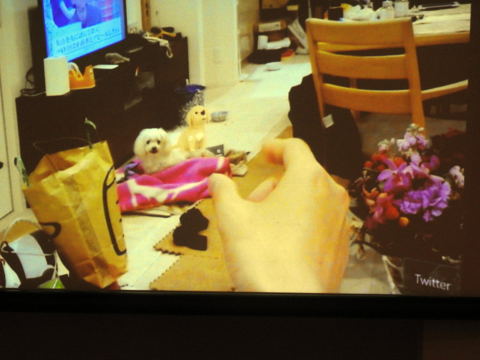 HoloLensをかけて見た落合氏の自宅の様子。左の犬は本物だが、右側の犬はバーチャル。ジェスチャーでバーチャルな犬に指示を与えていると、本物の犬も自分への指示だと思っている