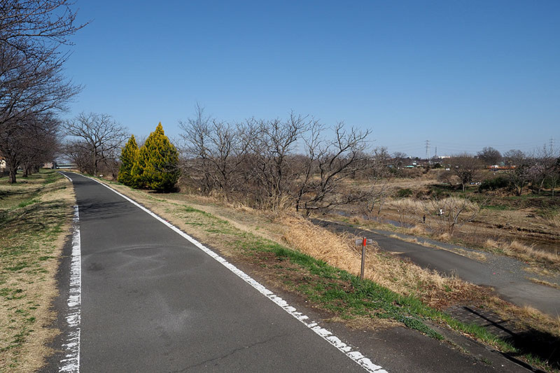 初日に走ったサイクリングロード。こんなふうな平坦でのどかな川沿いの道をサイクリング♪