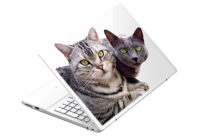こちらが完成品。世界唯一の猫ノートパソコン！