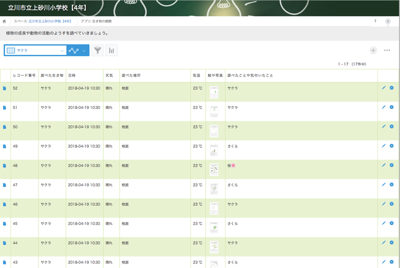 登録されたかんさつカードをスライドショーのように見比べる