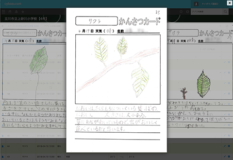 登録されたかんさつカードをスライドショーのように見比べる