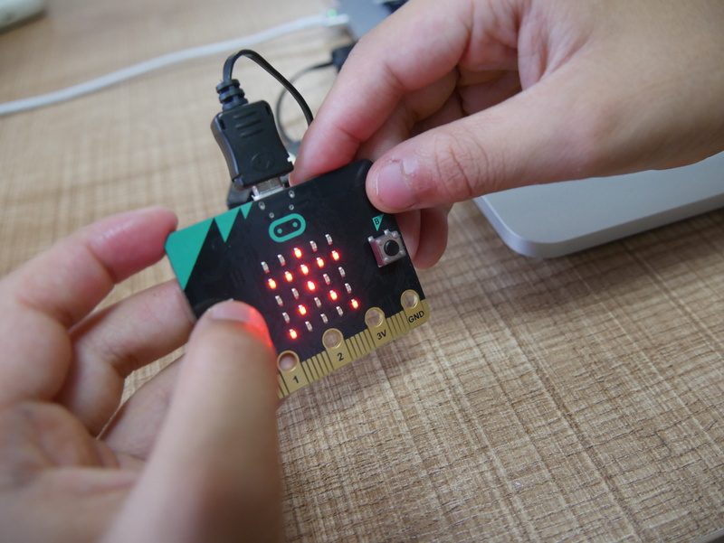 プログラミングの結果、光ると大喜び