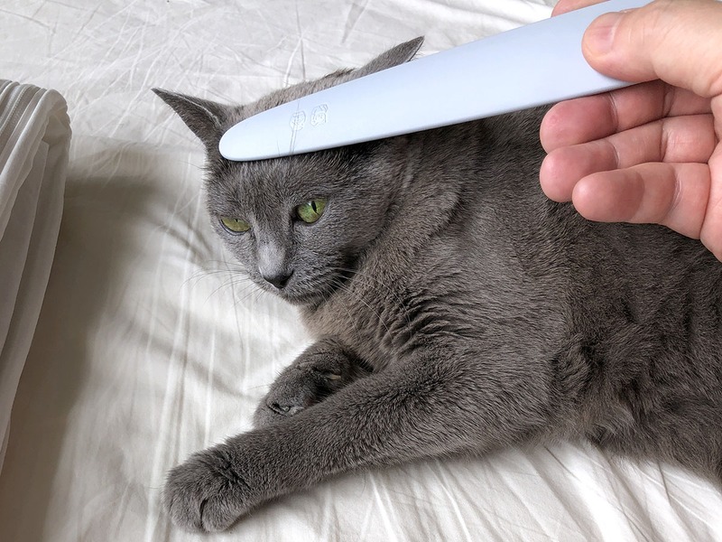 さっそく拙宅猫「うか」をジョリジョリ。嫌がりません