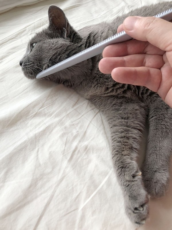 あご～！　この調子でずっと身を任せてくれました