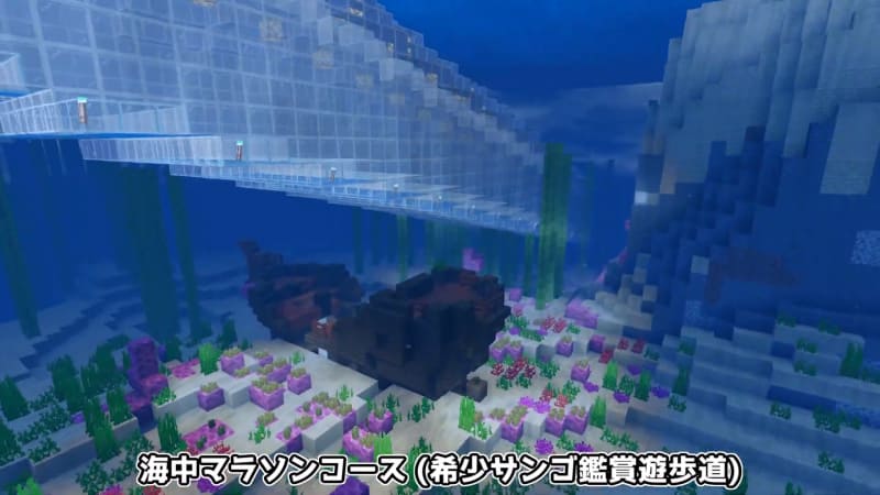 子どもたちの創造性あふれる海中マラソンコース、世界最長の海中トンネルなのだという