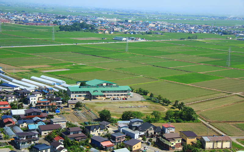 つがる市立育成小学校を撮影した航空写真