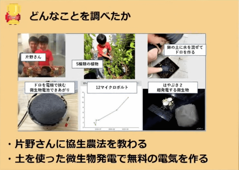 電気の発電についても詳しく調べている