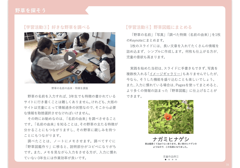 中学年・理科、「野草を探そう」をテーマにPagesで野草図鑑を作成する実践事例
