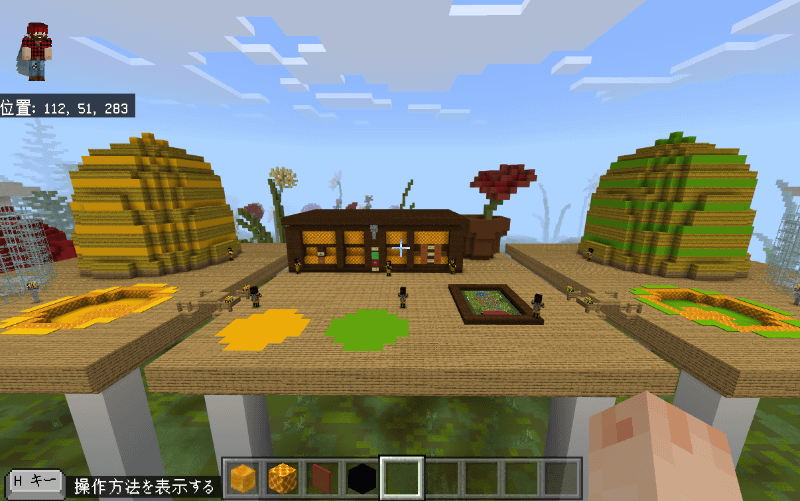 試合会場を上空からみたところ