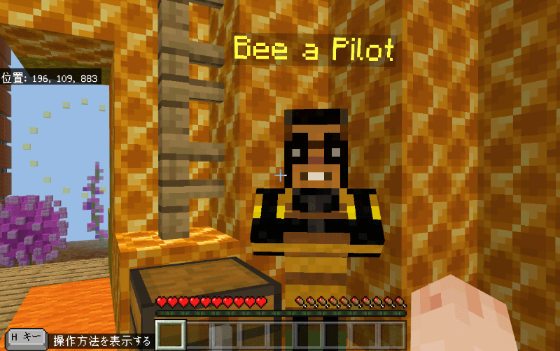 ミツバチのNPCに話しかけてみよう