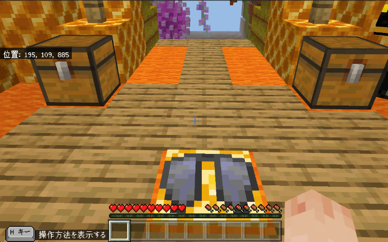 床にある羽マークに立つと、「エリトラ」を装備できる