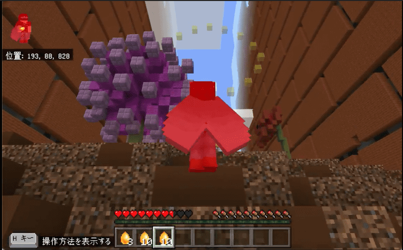 地面にぶつかってダメージを受けることもある