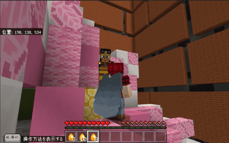 ゴールの花に到着すると、ミツバチのNPCがいる