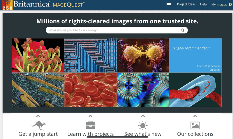 300万点以上の画像やイラストを収録したイメージデータベース「Britannica ImageQuest」