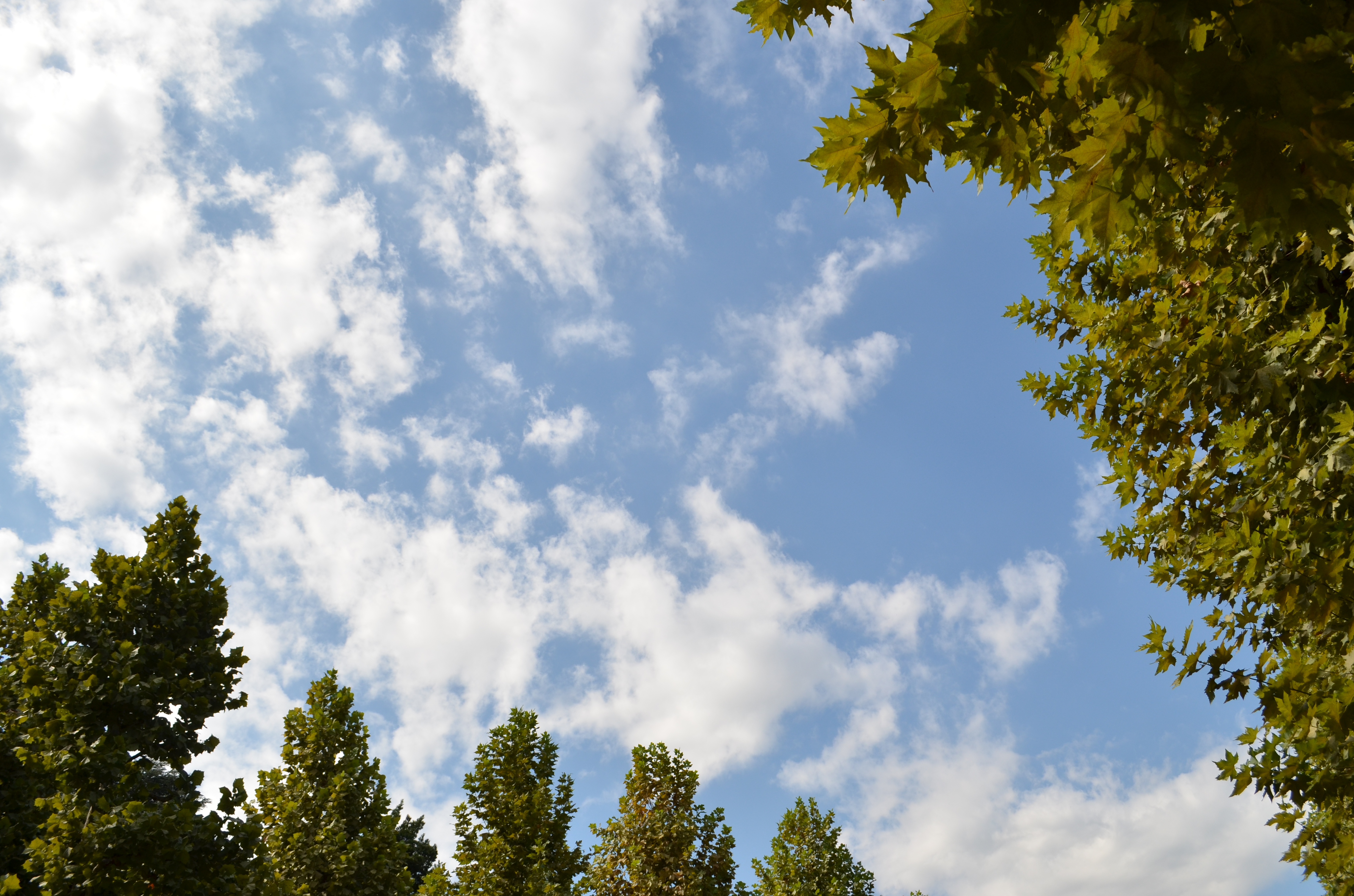 ■AWBほぼ見たままの色を再現しています。