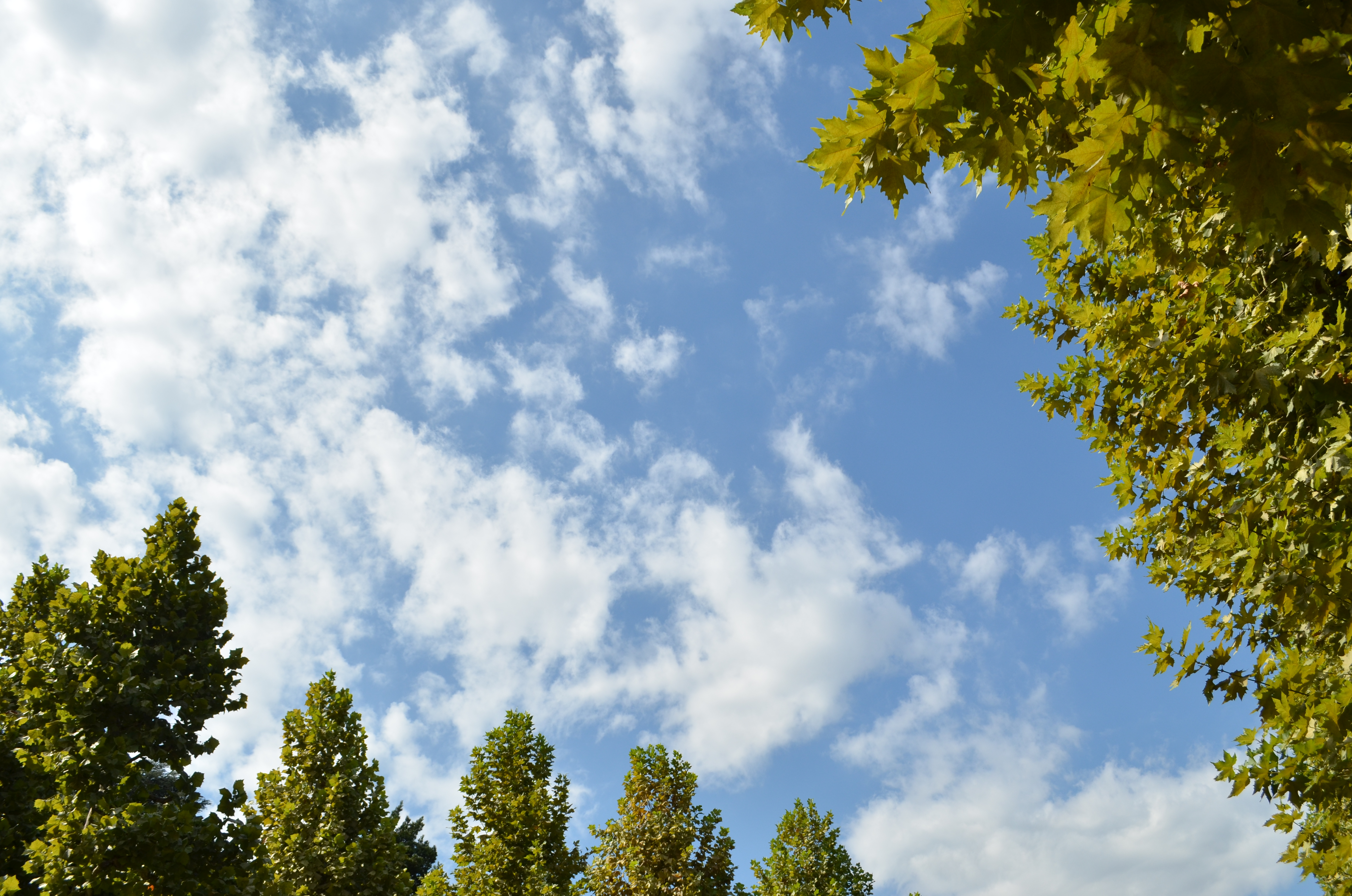 ■WB晴天ほとんどAWBと同じ色合いですが、全体にほんの少し黄味がかって暖かい色合いになりました。