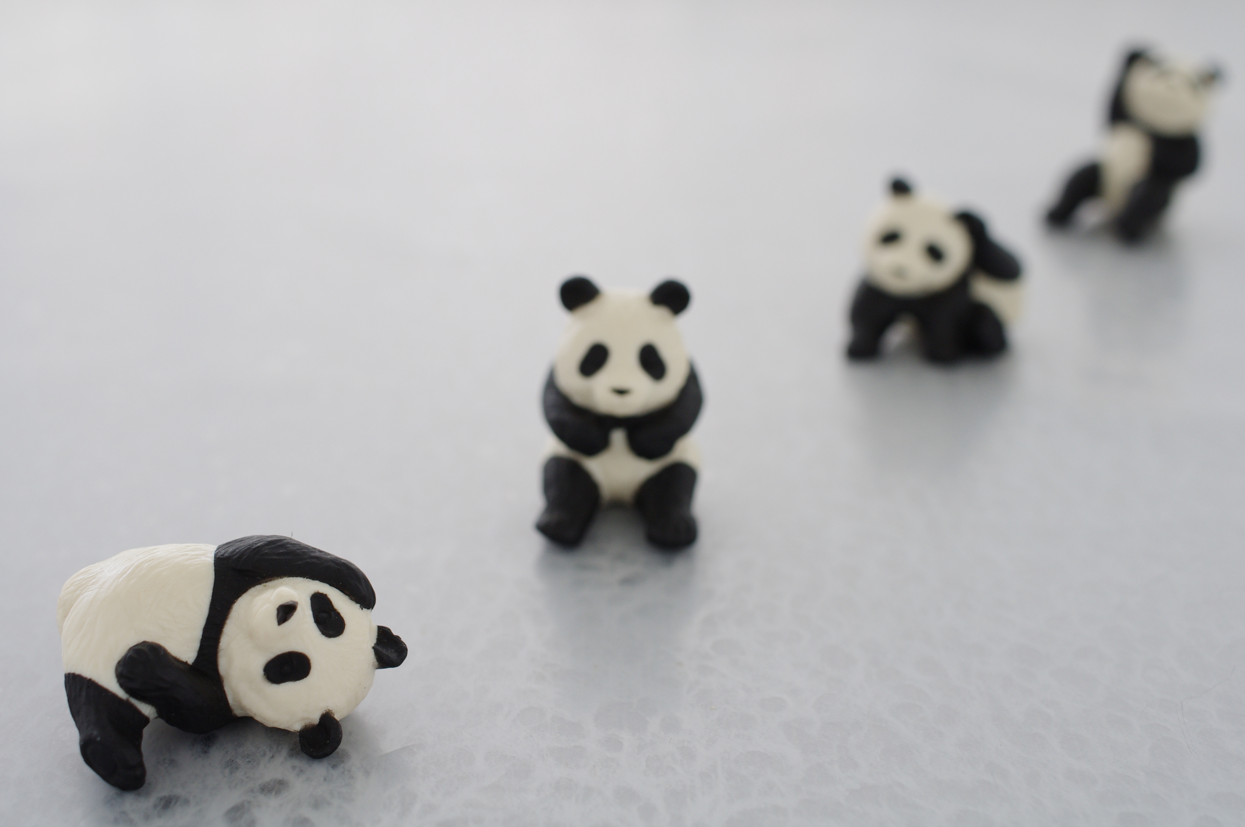 ■絞りF5.62番目のパンダはよりくっきりと、3番目のパンダも輪郭が見えてきました。