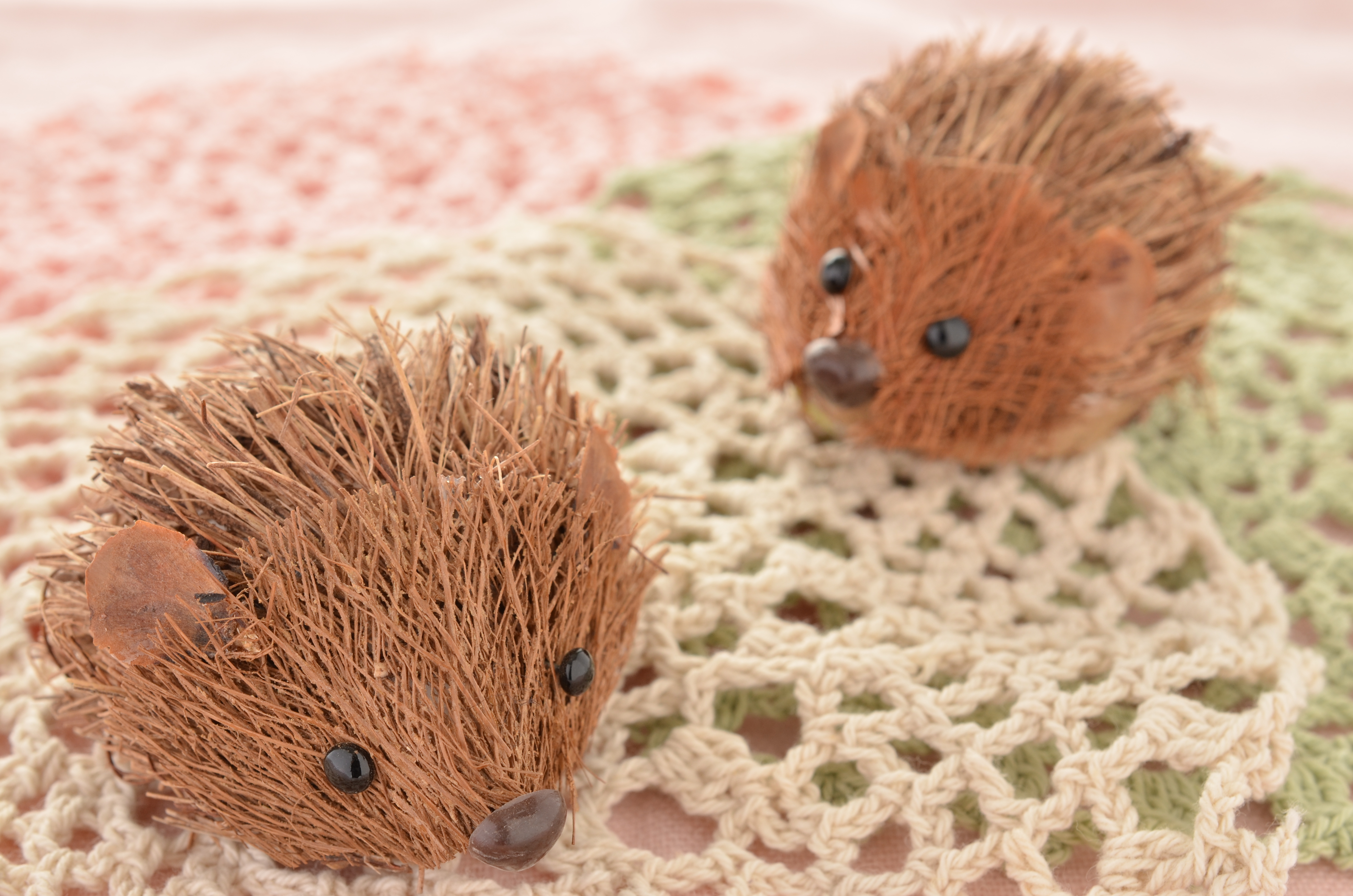 ■絞り優先AE（F11）/ISO200/WB曇天/+1EVしゃがんで手前のハリネズミにピントを合わせて主役に。前回のレッスンを活かしてホワイトバランスを曇天にしたら暖かみもプラスされました。