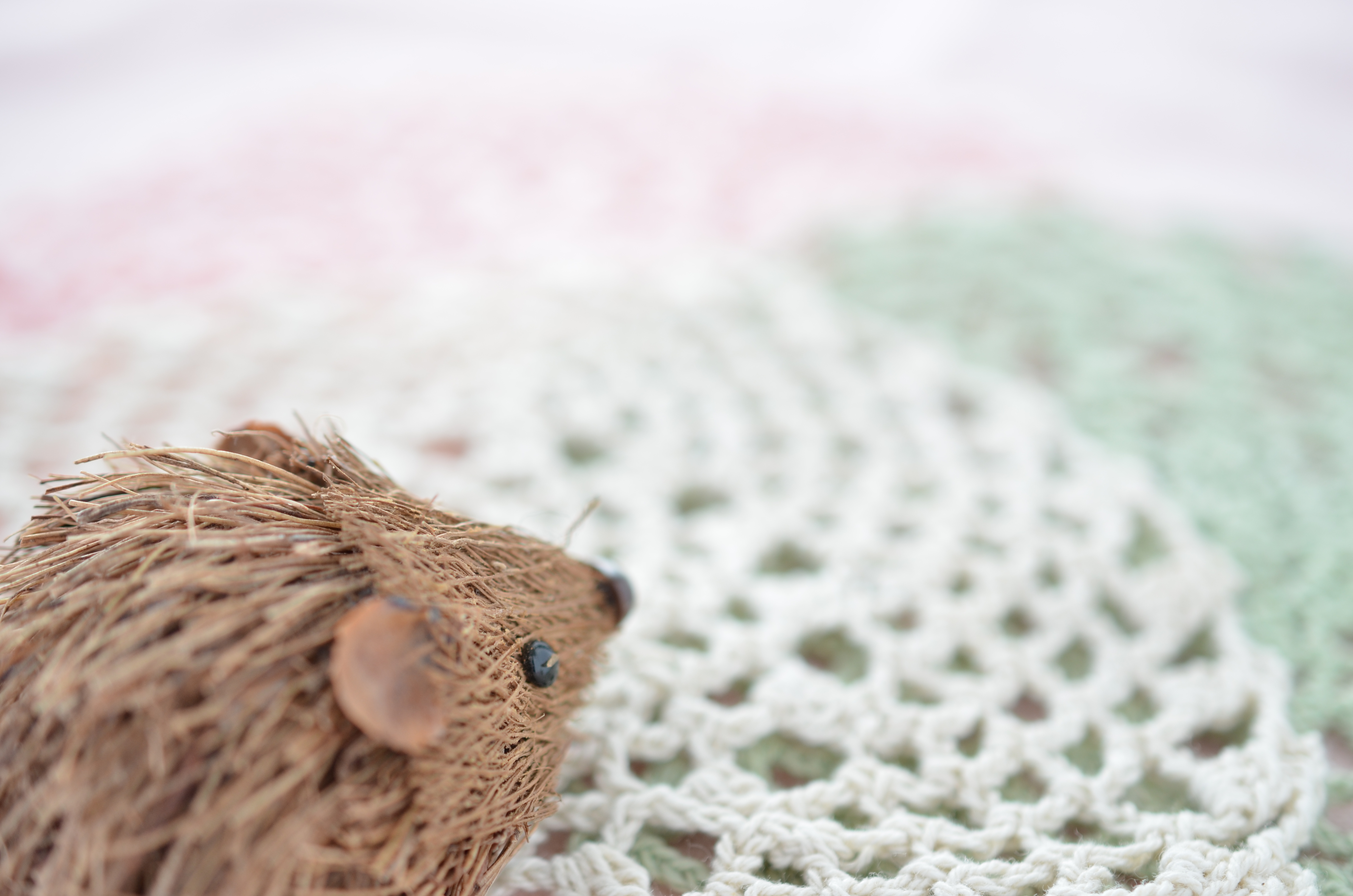 ■絞り優先AE（F3.2）/ISO200/WBオート/+1.7EV主役を絞るためにハリネズミの人形をひとつだけ使って奥を見つめるようにしたら、まるでハリネズミが見えない画面の向こう側に思いを馳せているようなノスタルジックな画に！