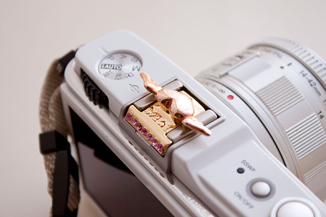 白系のボディのカメラにとくによくマッチするかも？