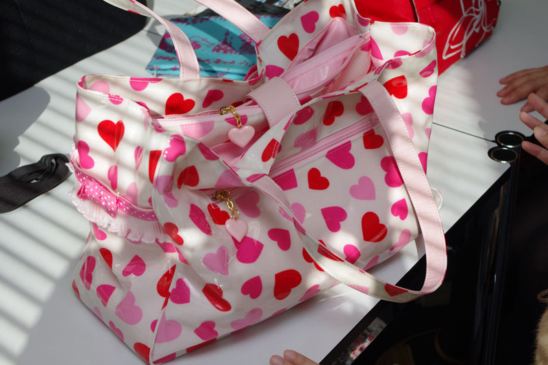 これが葵さん愛用のカメラ用バッグ。マザーズバッグという種類のバッグだそうです