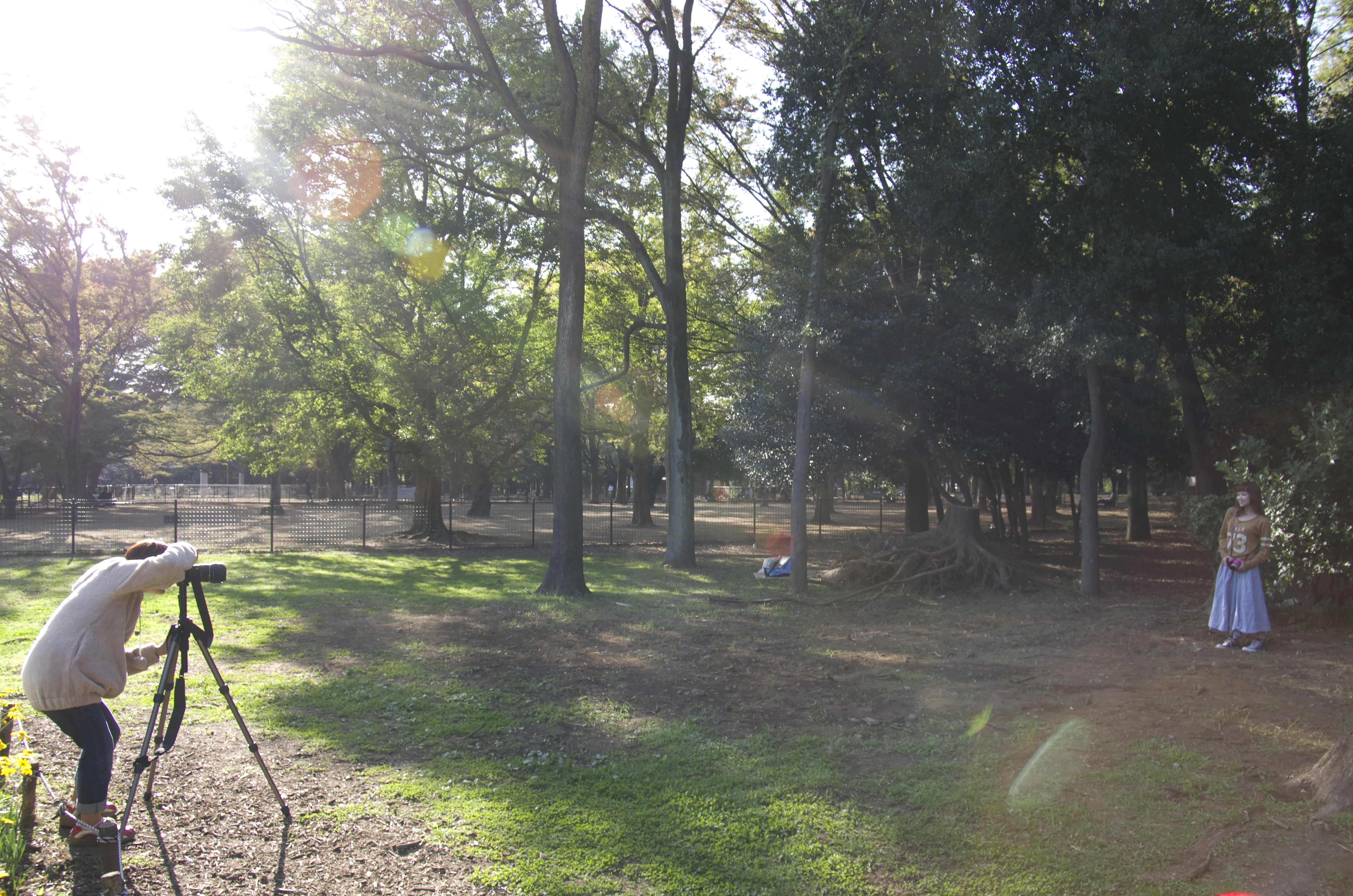 被写体のマリコちゃんと背景の木がくっ付くほど近い状態で撮影。