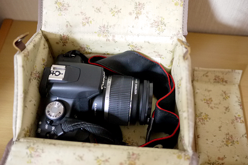 大きめのカメラもこの通り