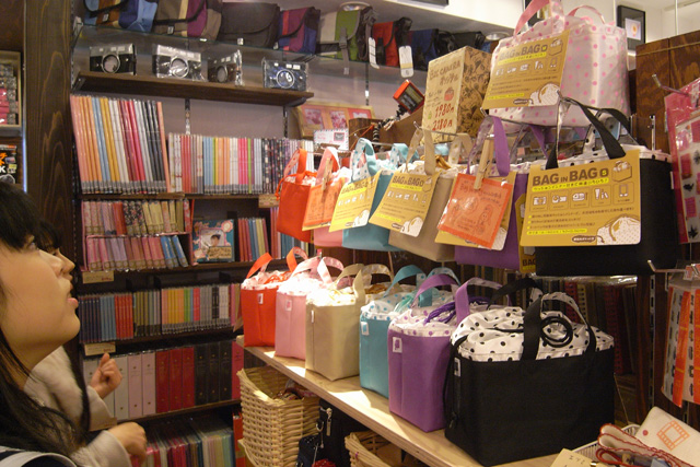 葵さんが目を付けたのは、ビックカメラオリジナルのインナーカメラバッグ！